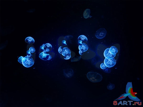 Оригинальная надпись из морских медуз Оригинальная надпись из морских медуз
