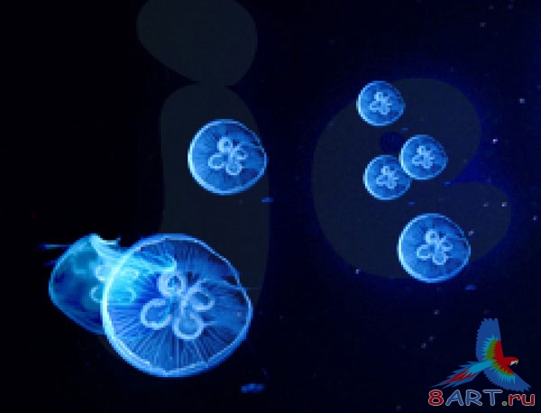 Оригинальная надпись из морских медуз Оригинальная надпись из морских медуз