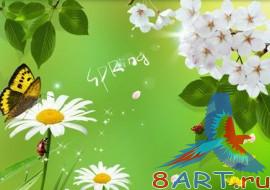 PSD ����� �������