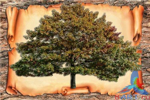 PSD - Genealogical tree template