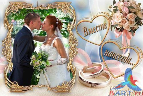 ��������� ����� � Kameliana - ����� �6- ����� ��������