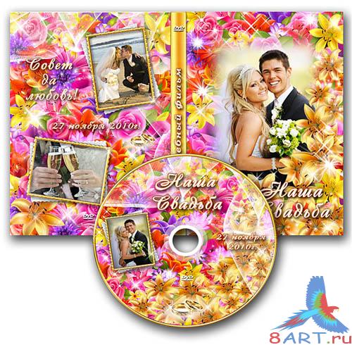 ��������� ������� DVD ����� ������� � ����