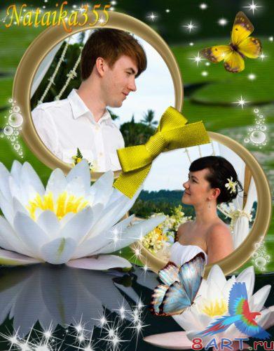 ����� � ��������� ���� ���� - ������������� �������� �� ������