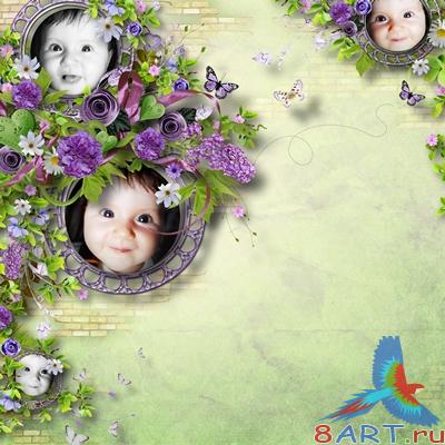 ��������� �����-����� -   Fleurs de lavande