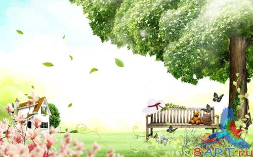 Sources - A garden in the yard