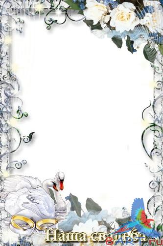 ��������� ����� � ����� ���� ����� ������������ ������