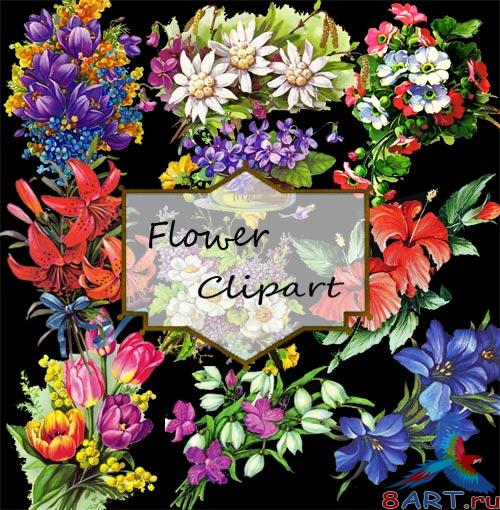 ��������� �������