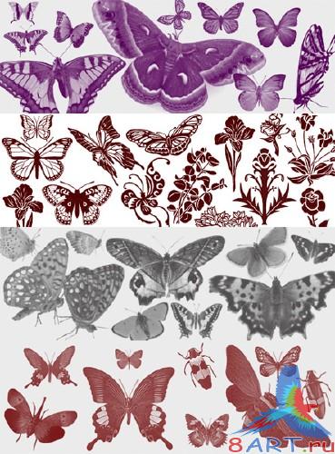 ����� ���� ������� �������