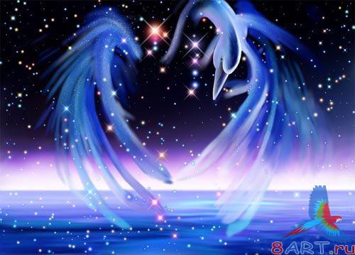 �������� ���� - PSD