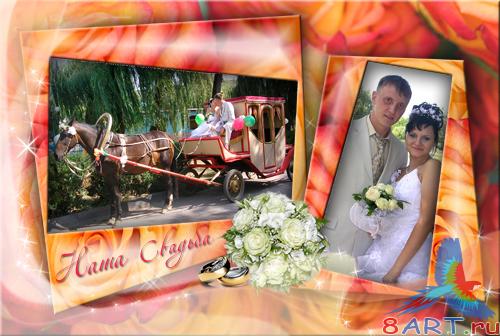 ����� �� ������� - ���������