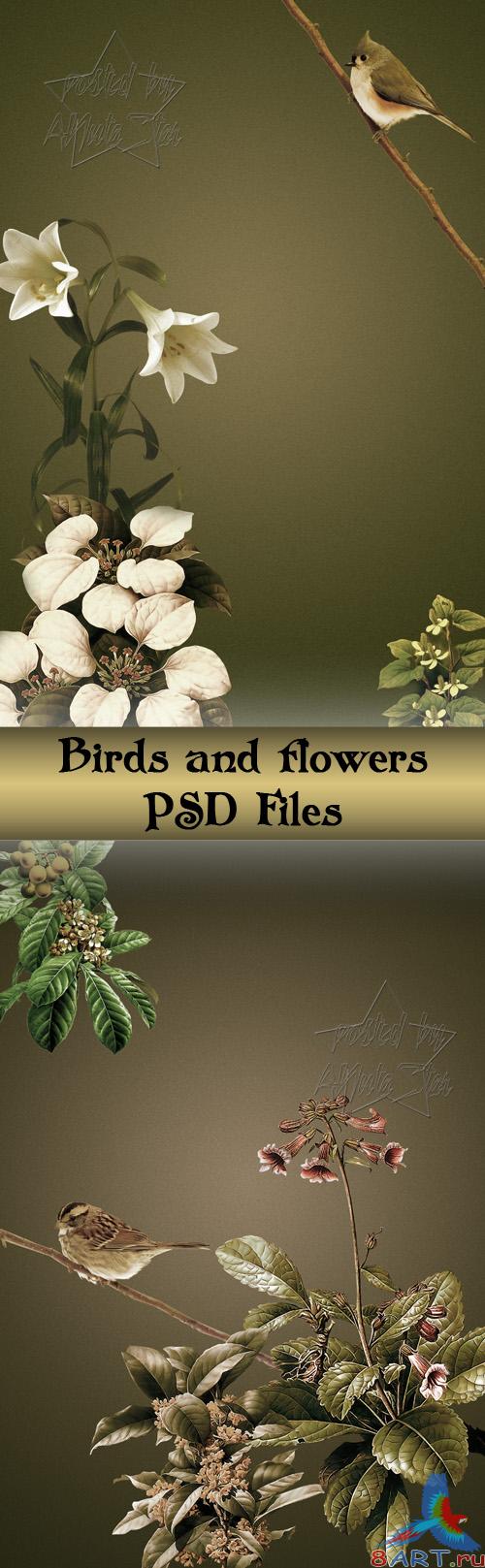 ����� ������ ������� �����  Birds and flowers - PSD Files