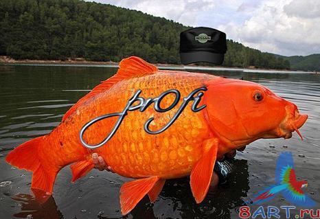 ������� �����