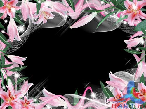 ����� ����� ���� - ������� �����