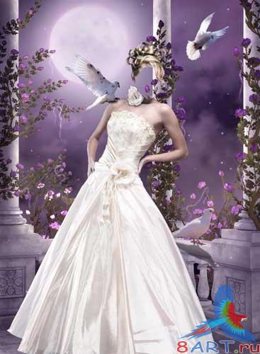 ������ � ���� - ��������� ������