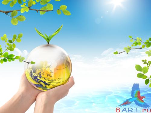 Sources - Life in Your Hands