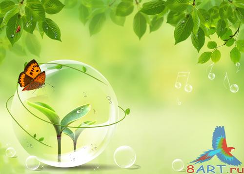 Source - a spring morning dew