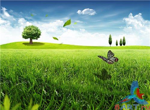 PSD - Lonely tree on the Field