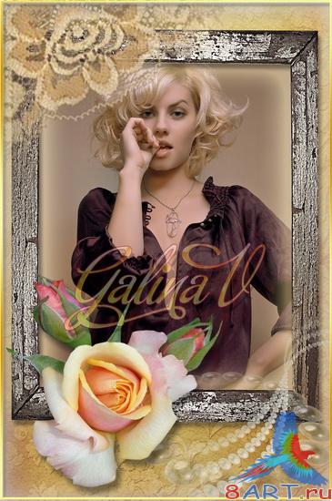 ����� � ������ ���� ���� - �� ����� ��������