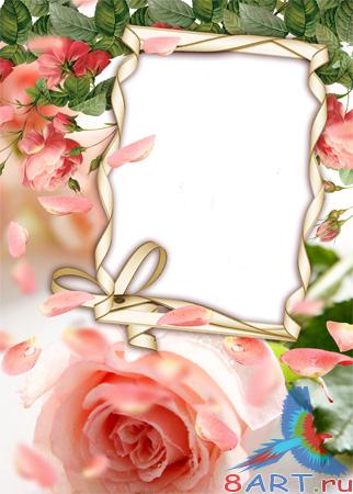 PSD ��������� - "������� ������"