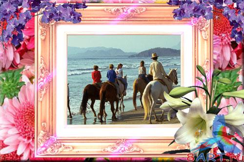 ����� ����� ���� - �����