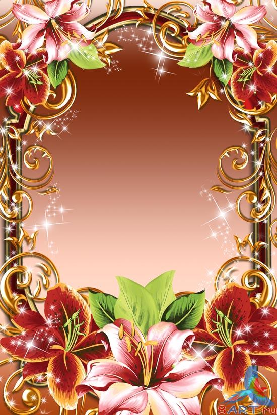 ����� ���� ���� - �����