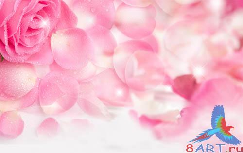 PSD - Rose Petals Template