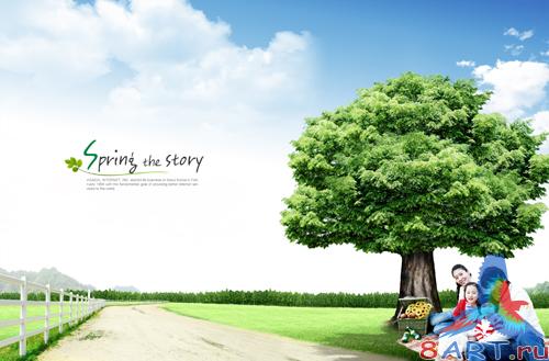 Sources - A large green tree