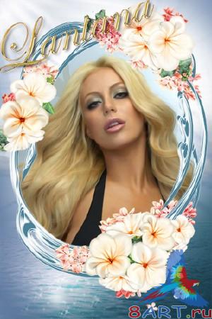 ����� �� ���������� - ������� �����