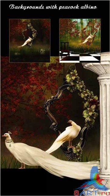 ���� �� ��������� �����������