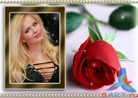   ����� �� ������� - ����