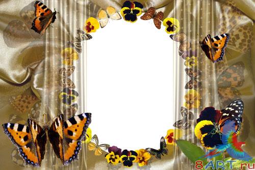 ����� �������� �������