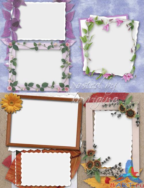 "��������� ������", ������� 3 ("Flower Album", Part 3)