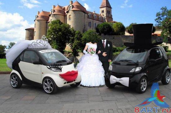 ������ � ��������� ����������� - ����