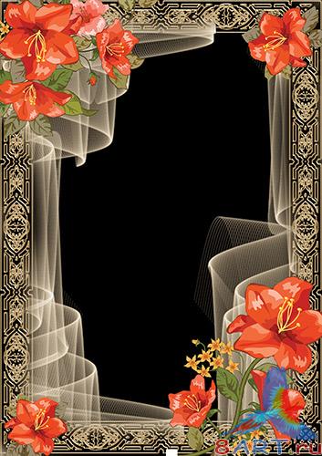 ������������� ����� �� ���������� �����������