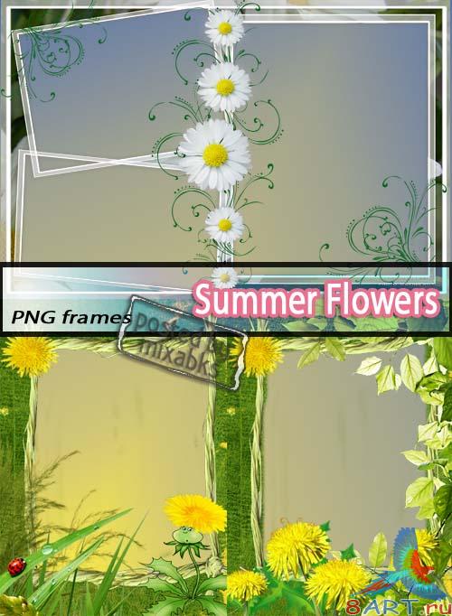 ������ ����� 