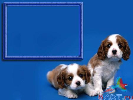 ����� � ����� ���� �1 � ����� �������� �������