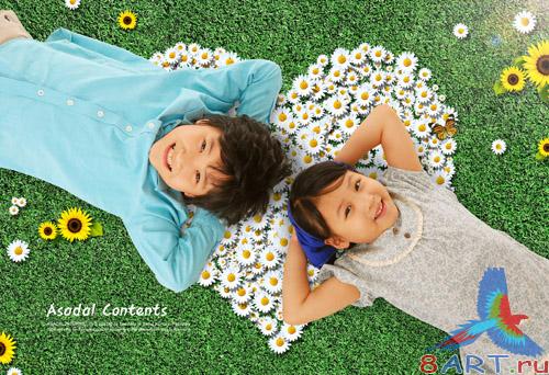 Sources - A field of daisies