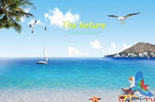 Source - Sunny summer beach