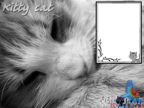 ������� �����-����� (����� �������)