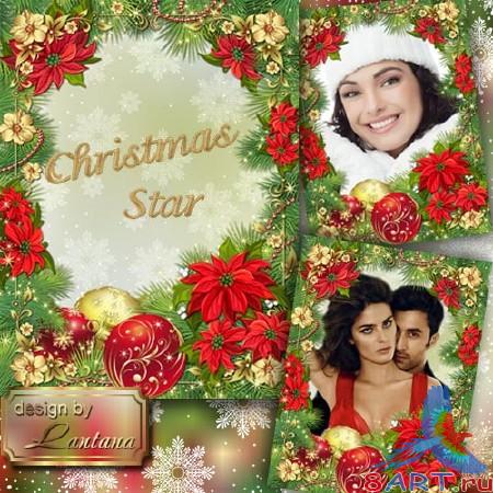 Рамочка - Пурпурные переливы Рождественской звезды Рамочка - Пурпурные переливы Рождественской звезды