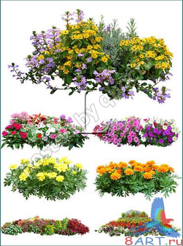 ������� � ������ ���� Photoshop - ����� �� ��������