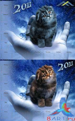 ������ ����� ��� 2011 ���