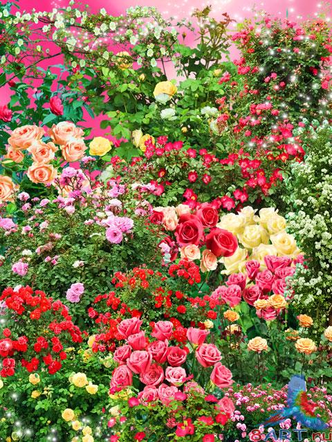 ������� - ����� ���������� ���