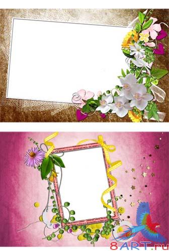 �����-��� ����