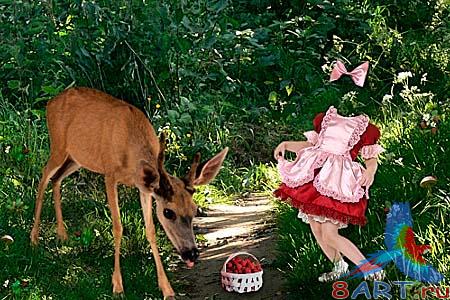 ������� �������� �� �������� - ����������