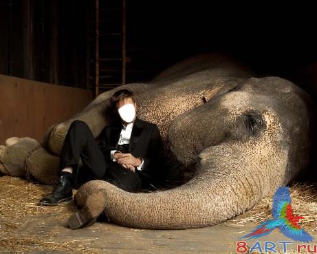 ������ ���� ���� � ������� �����