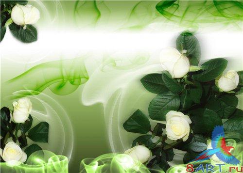 PSD - Bright White Roses