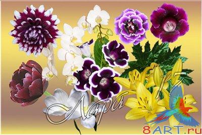 PSD ������� - ��������� ����������� - 6