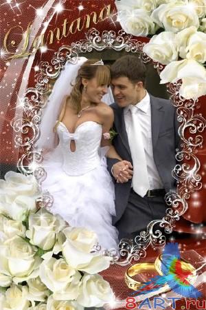 ����� ���� ���� - ���� �� �������