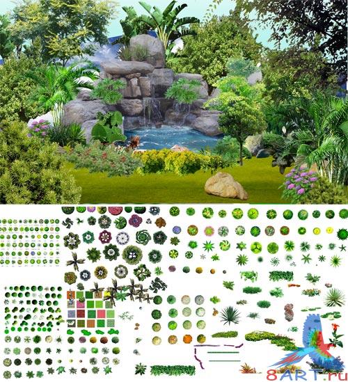 PSD tree 02 and 04 without background